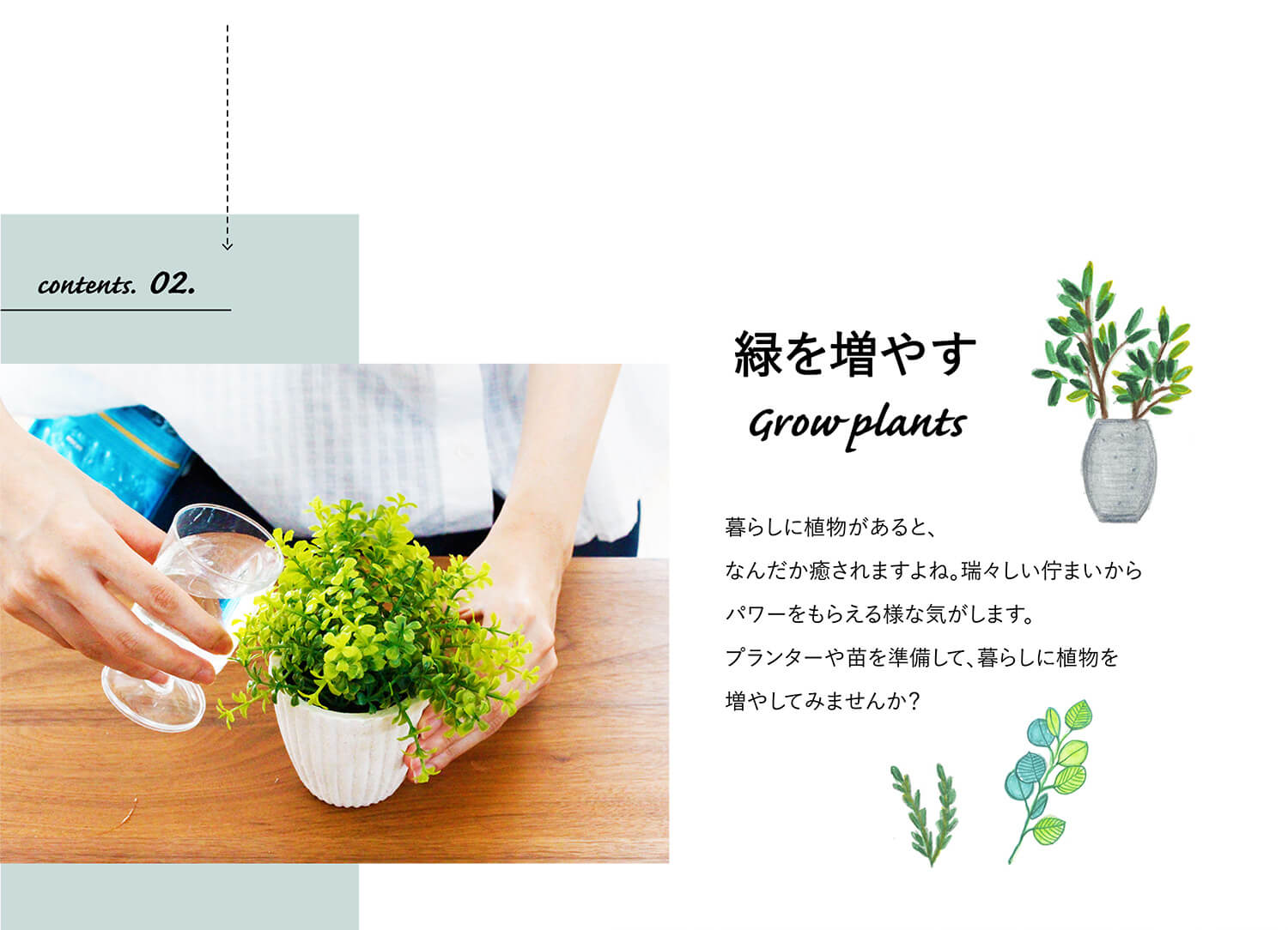 contents.02.植物を増やす grow plants
暮らしに植物があるとなんだか癒されますよね。瑞々しい佇まいからパワーをもらえる様な気がします。プランターや苗を準備して、暮らしに植物を増やしてみませんか？