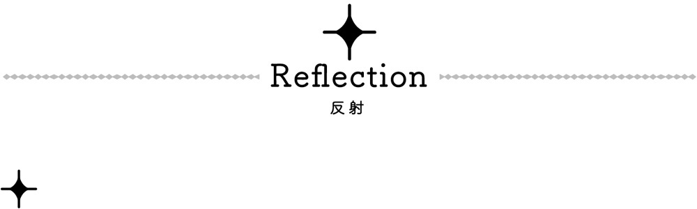 Reflecion 反射