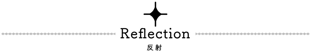 Reflecion 反射