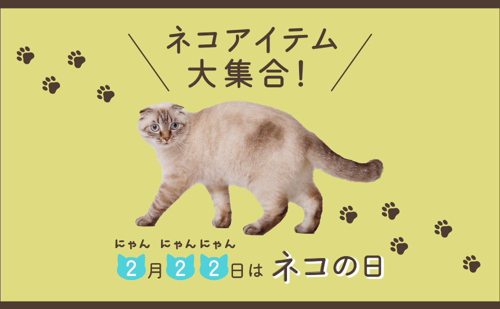 1000×619ネコアイキャッチ